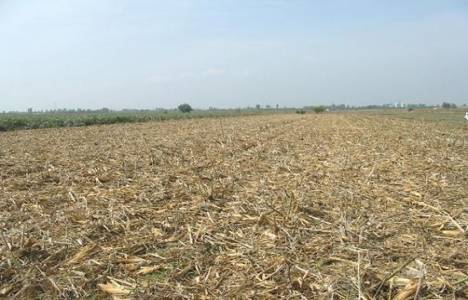 Arazi bozulması nedir?