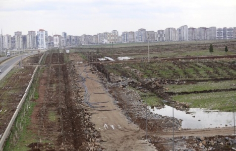 Diyarbakır kent ormanı Jandarma Komutanlığı’na devrediliyor!