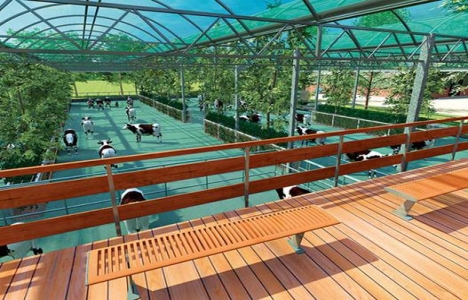 Rotterdam da inşa edilecek Floating Farm dünyada ilk olacak!