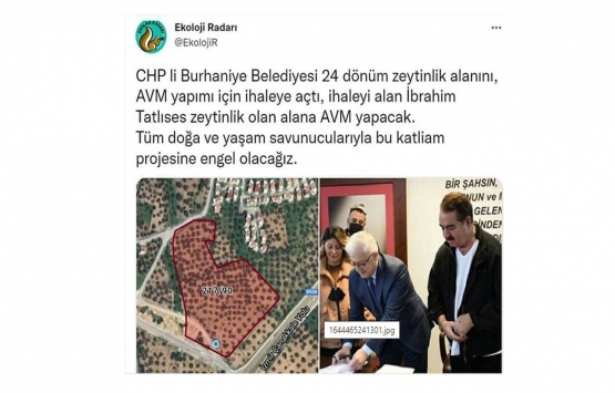 Edremit te zeytinlik AVM oluyor!