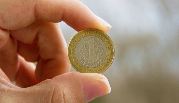 1 TL'yi buzdolabına koydu... Sonrasında çıkardığında gözlerine inanamadı... Siz de hemen 1 TL'yi buzdolabına koyun