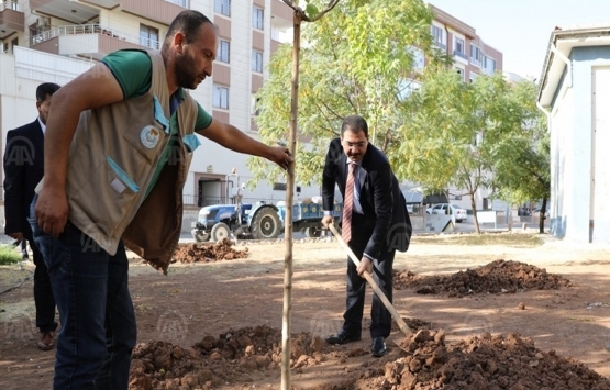 Şanlıurfa Haliliye de yeni yapılacak binalar için fidan dikme zorunluğu!