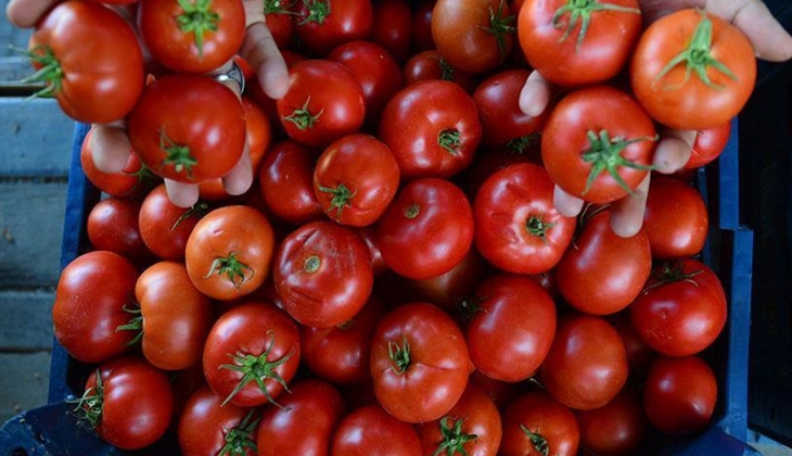 Sebze fiyatlarında beklenmedik düşüş! Kilosu 5 TL’ye satılıyor! İşte detaylar!