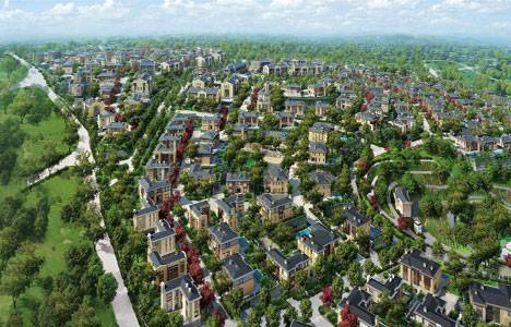 Ormanada Zekeriyaköy Projesi!