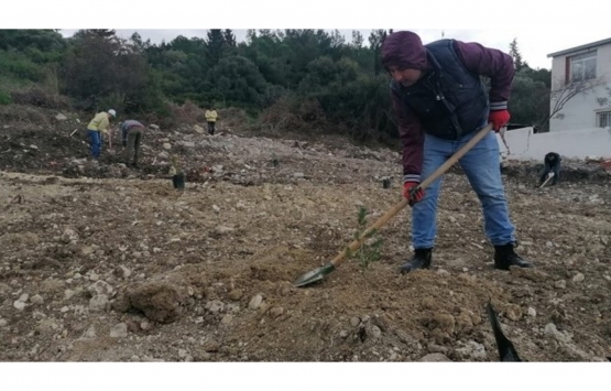 İzmir'de ormanlık alandaki kaçak evler yıkıldı! 