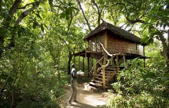 Dünyanın en iyi 10 ağaç ev oteli!