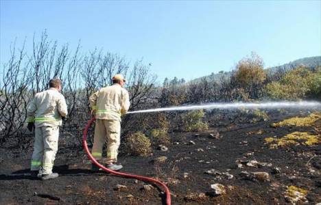 Didim'de 90 dekar makilik alan yandı!