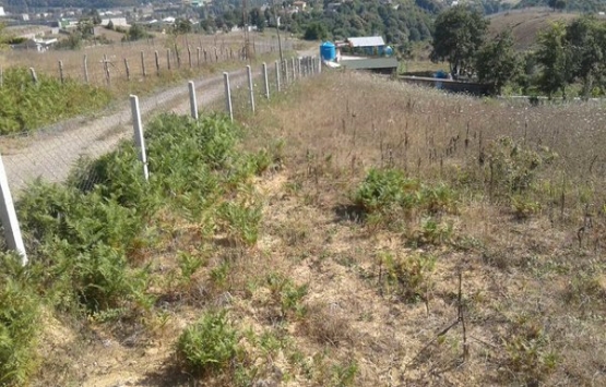 Beykoz İshaklı Mahallesi imar planı askıya çıktı!