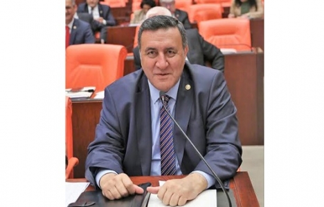 Niğde Bahçeli Kasabası'nın ışıklandırma sorunu mecliste!