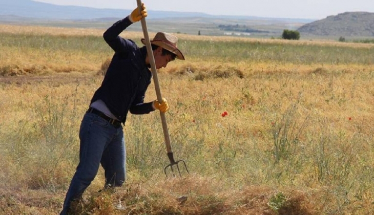 Bakanlık duyurdu! Çiftçilere 1,9 milyar lira hibe desteği verilecek