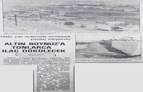 1977 yılında Haliç e tonlarca ilaç dökülecekmiş!