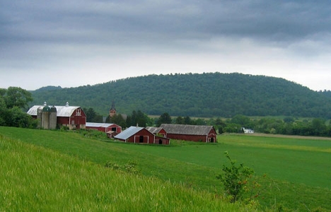TİGEM'in 18 çiftliği özel sektöre kiralandı!