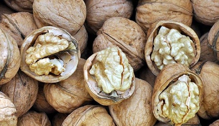 Ceviz piyasası hareketlendi! Kabuklu ceviz, ithal ince kabuk ve ceviz içi ne kadar? 2023 Serbest piyasada ceviz fiyatı..