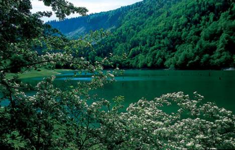 Tabiatı koruma alanı nedir?