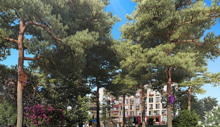 Dap Ormanköy de yaşam başladı! 