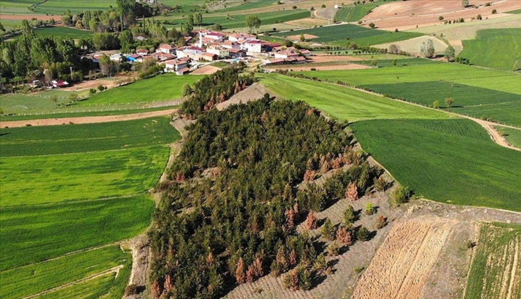 Milli Emlak, iki şehirdeki 5 adet arazi ile 2 adet iki katlı evi yüzde 20 indirimle satıyor! 