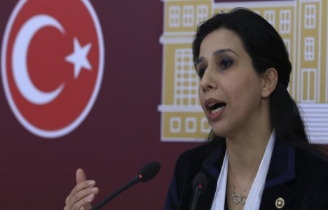 Dekovil Hattı'nın Belgrad Ormanı'na etkileri mecliste!