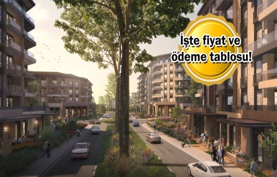 Emlak Konut GYO Çınarköy Evleri resmen satışta! Yeni proje!