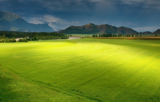 Belediyeye bağışlanan arsa nasıl geri alınır?