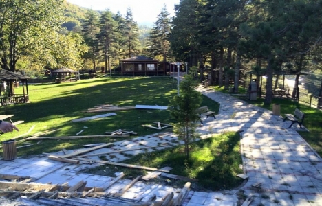 Samandere Şelalesi Tabiat Anıtı alanı yenileniyor!