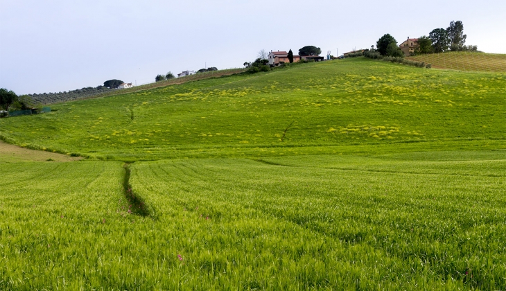 Belediyelerden Konya ve Edirne’de satılık 5 arsa!