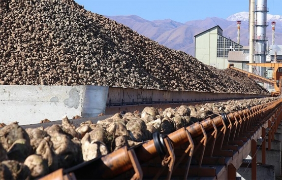 Kars Şeker Fabrikası ndan Erzurum Aziziye de kiralık gayrimenkul!