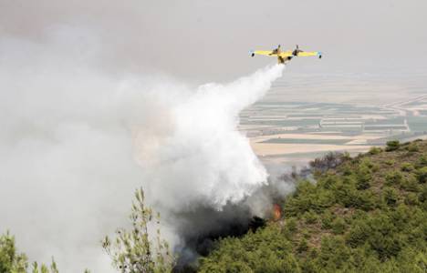 Hatay'da yanan 2 bin hektar alanla ilgili soğutma çalışmaları başladı!