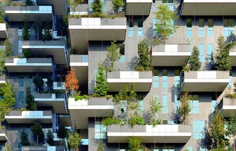 Çin de Nanjing Kuleleri projesi hayata geçiyor!