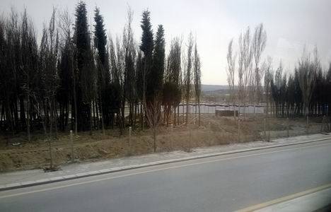 Ankapark ne durumda?