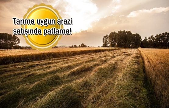 Liradan kaçıp dövize sığınanlar, köylerine geri dönüyor!