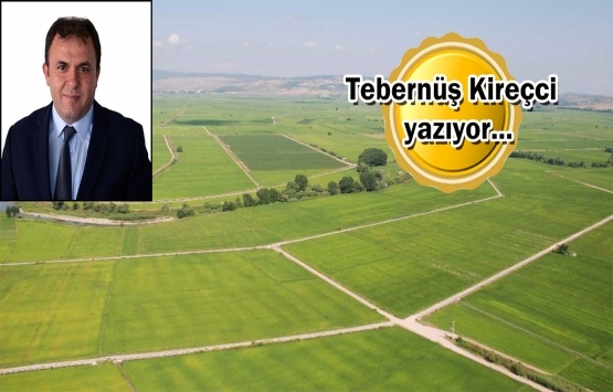 Arsa ve arazi kurtları 'cin olmadan adam çarpmanın' peşinde!