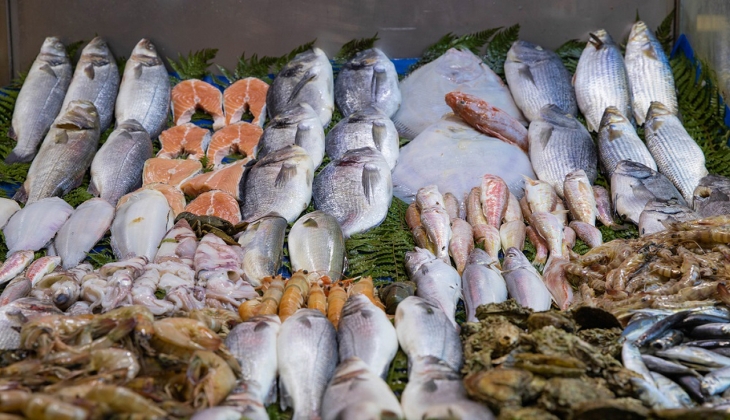 Ekim ayında herkes balık yiyecek! Balık fiyatları ile ilgili flaş gelişme!