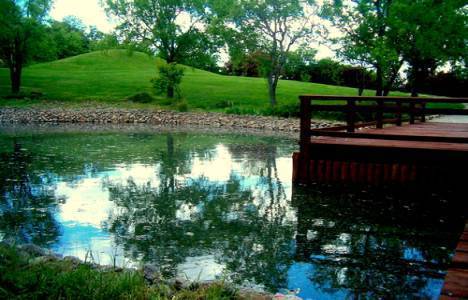 Megapol Grup İzmir'in ilk japon bahçesini hizmete açtı!
