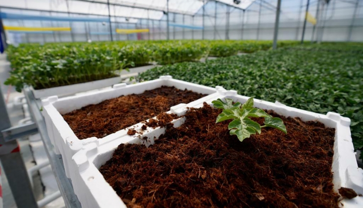 Çiftçilere ücretsiz dağıtım başladı! 15 ayrı başvuru merkezi oluşturuldu