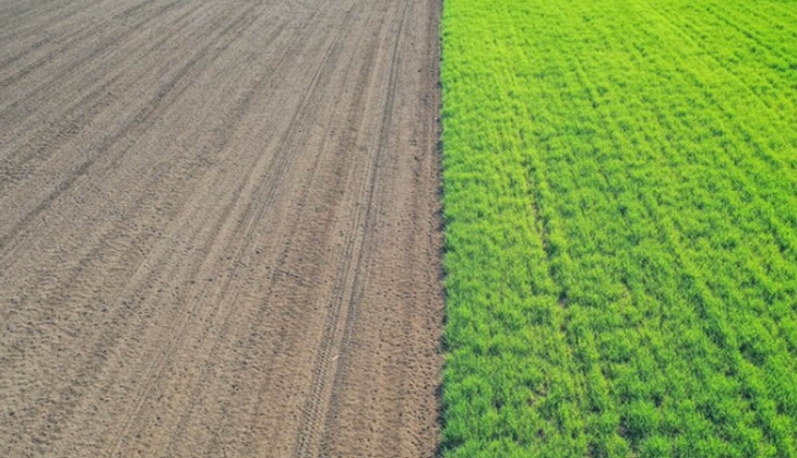 Hisseli arsa, tarla, arazi alınır mı?