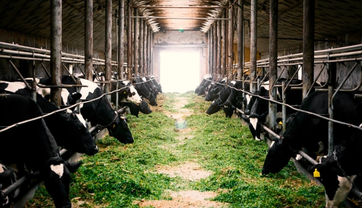 Besicilere büyük destek! Resmi Gazetede yayımlandı! Kimler yararlanacak? İşte yanıtı