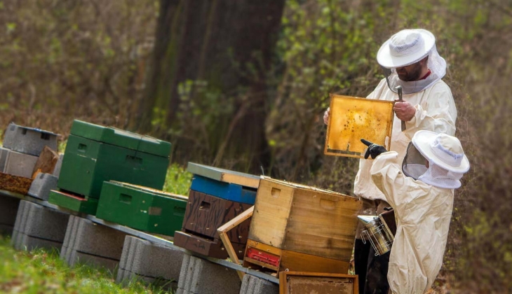 Deprem bölgesindeki arıcılara verilecek destek belli oldu! İşte detaylar…
