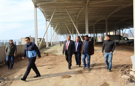 İskenderun Orhan Tepe'ye çok amaçlı pazar geliyor!