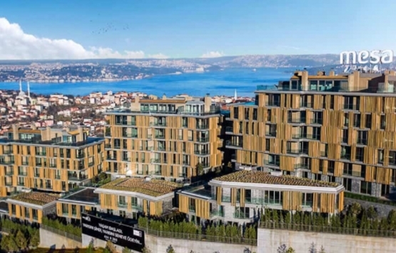 Mesa Çubuklu 28 de yaşam başladı! 