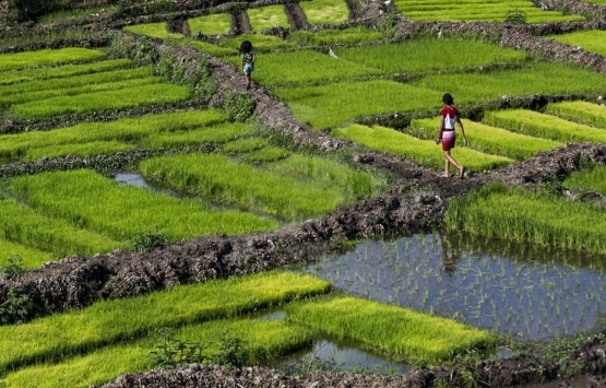 Türk müteahhitlere Madagaskar dan davet!