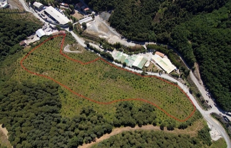 Park Orman Tabiat Parkı için yeniden düğmeye basıldı!