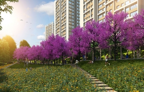 DKY Lokum Evler Konutları!