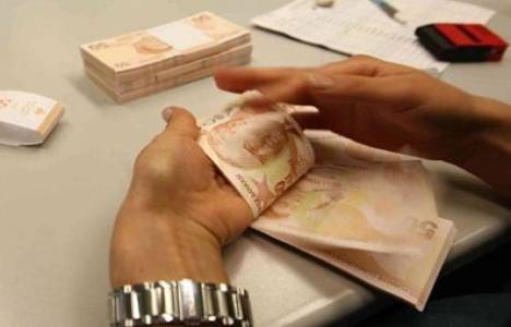 Tıbbi ve aromatik bitkiler, ekonomik katkı sağlayacak!