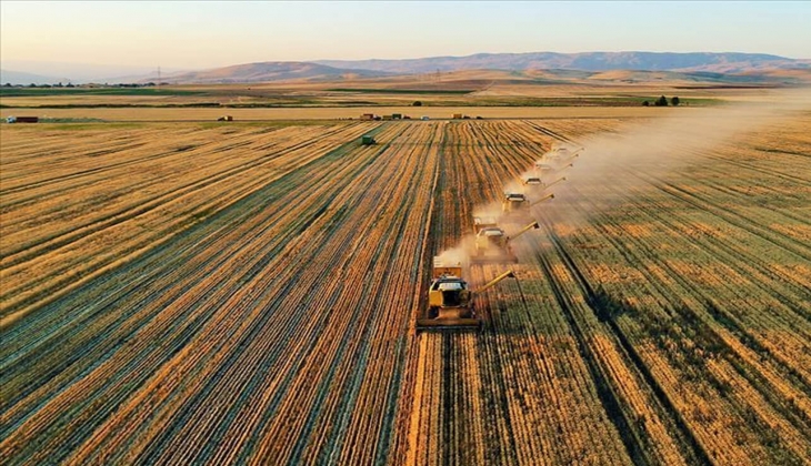 8 taksitle arazi sahibi olabilirsiniz! 739 TL den başlayan fiyatları kaçırmayın!