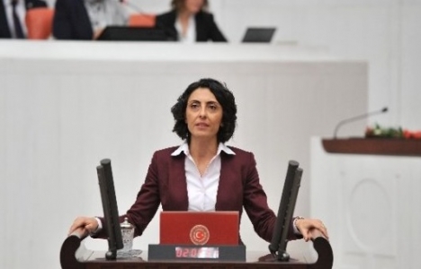 İznik Gölü çevresindeki dolgu çalışması için soru önergesi hazırlandı!