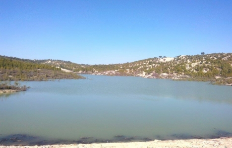 Orman ve Su İşleri Bakanlığından Mersin'e 29 milyon liralık yatırım!