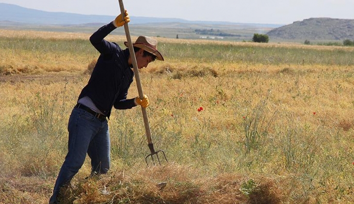 Gübre fiyatlarındaki son durum ne? Gübre fiyatlarına zam mı geldi? İşte gübre fiyatları!