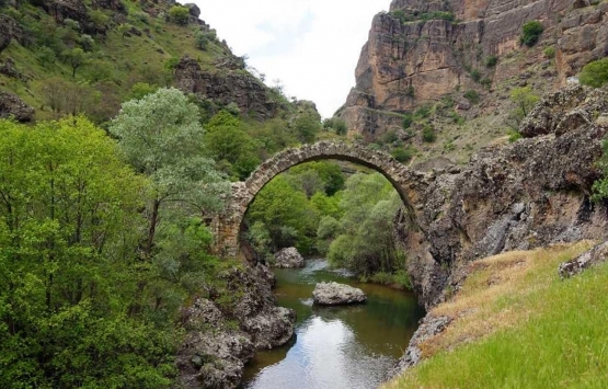 Malatya daki tarihi Taş Köprü nün restore edilmesi talebi mecliste!
