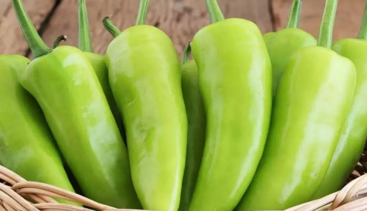 Ramazan bereketiyle geldi! Domates, salatalık, biberde yüzde 50 indirim uygulanıyor