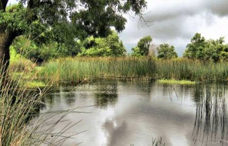Karacabey Longozu turizme açılıyor!